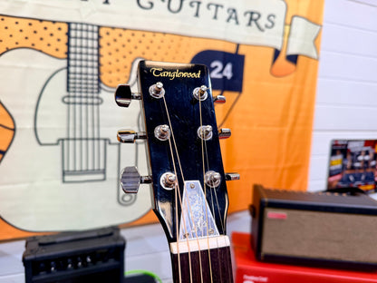 ✨ Tanglewood Parlour Resonator Acoustic Guitar~ Natural Gloss ✨