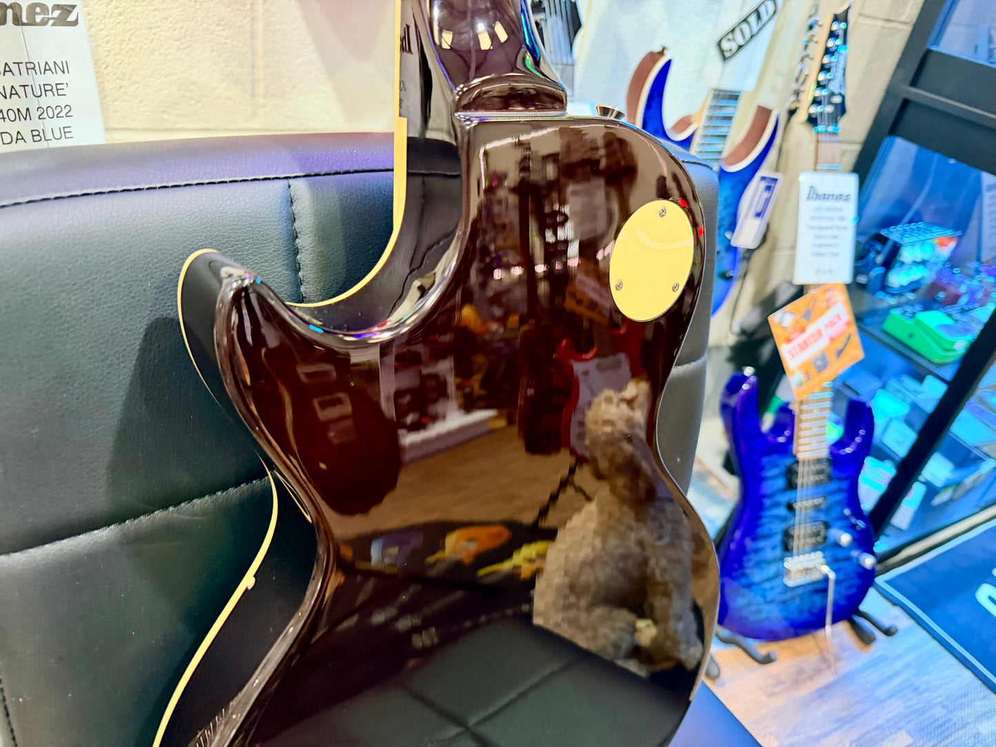 🔥2009🔥 Burny Les Paul Gold Top~ Super Grade Model~ RARE W/Mini Humbuckers!