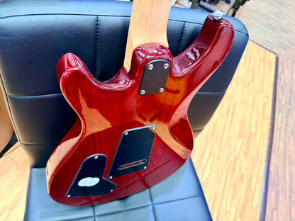 🔥EX-DEMO🔥 PRS SE Swamp Ash Special 2023 Vintage Sunburst~ Maple Neck ~ Gig Bag
