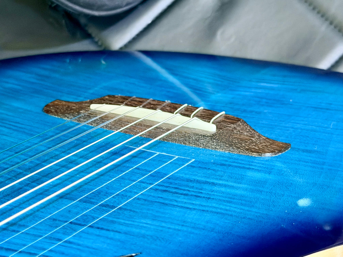 🔥NEW🔥 Ortega TourPlayer Deluxe RTPDLX-FMA Nylon Electro-Acoustic Guitar Blue!