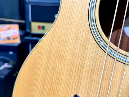 ✨2021✨ Taylor GS Mini-E Rosewood Electro Acoustic Travel Guitar with Gig Bag!