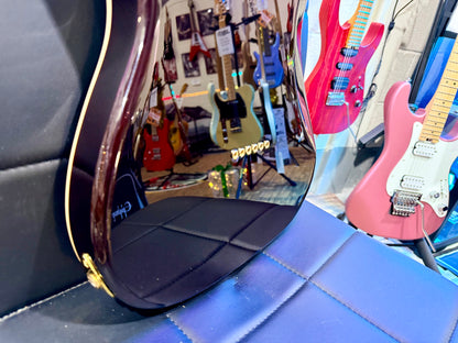 ☀️RICHIE KOTZEN☀️ JET JT-600 Roasted Maple Telecaster Style Guitar~Tobacco Burst