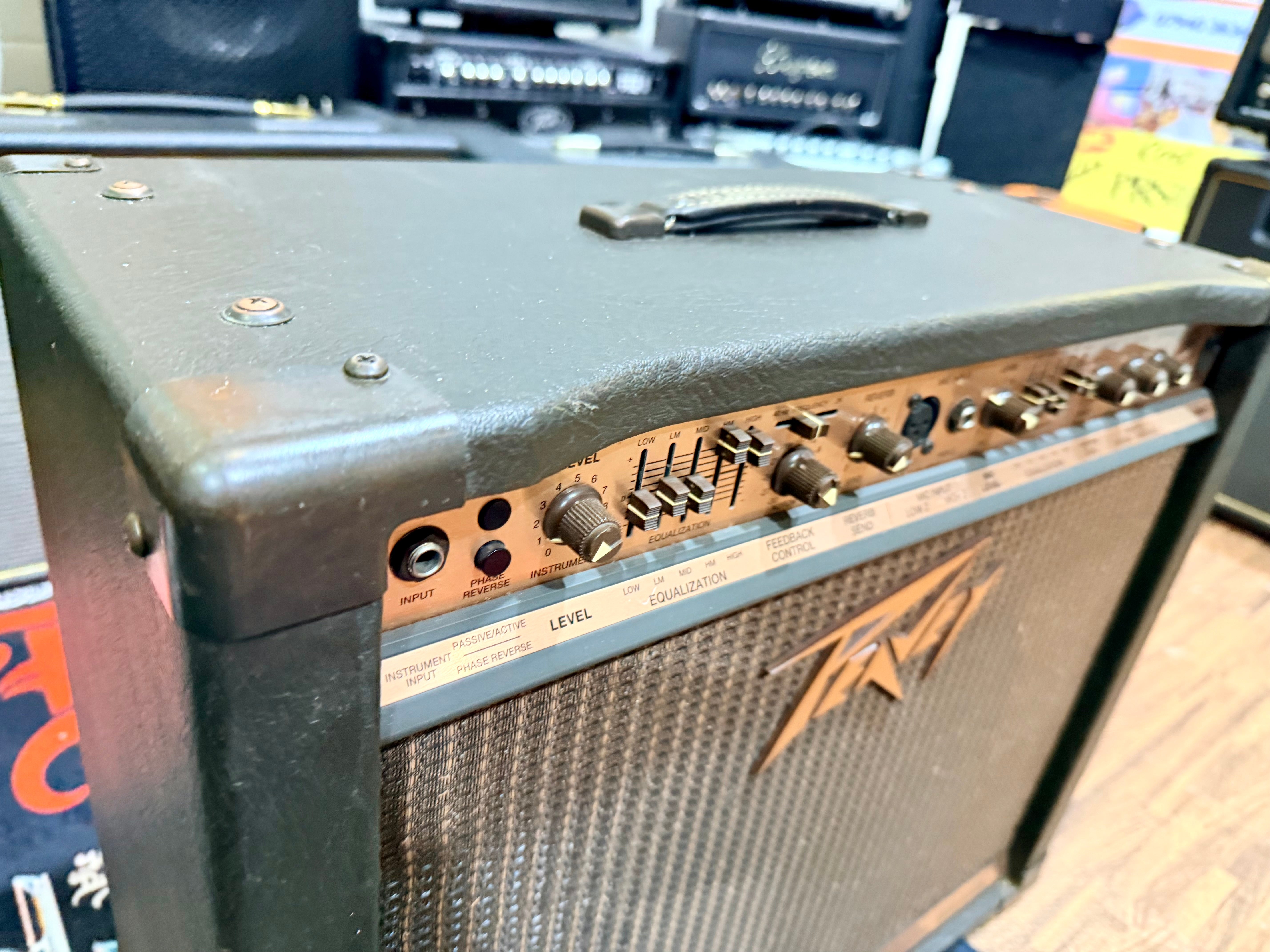 🎸 Peavey Ecoustic 112 Acoustic Guitar Amplifier~ 100w Combo Amp 🎸