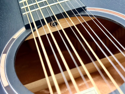 🌟MINT🌟 2025 Tanglewood TB412CE 12 Blackbird 12 String Electro Acoustic Guitar!