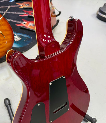 🔥2019🔥 PRS SE Standard 24~ Vintage Cherry Gloss ~ Coil Tap ~ Bird Inlays!