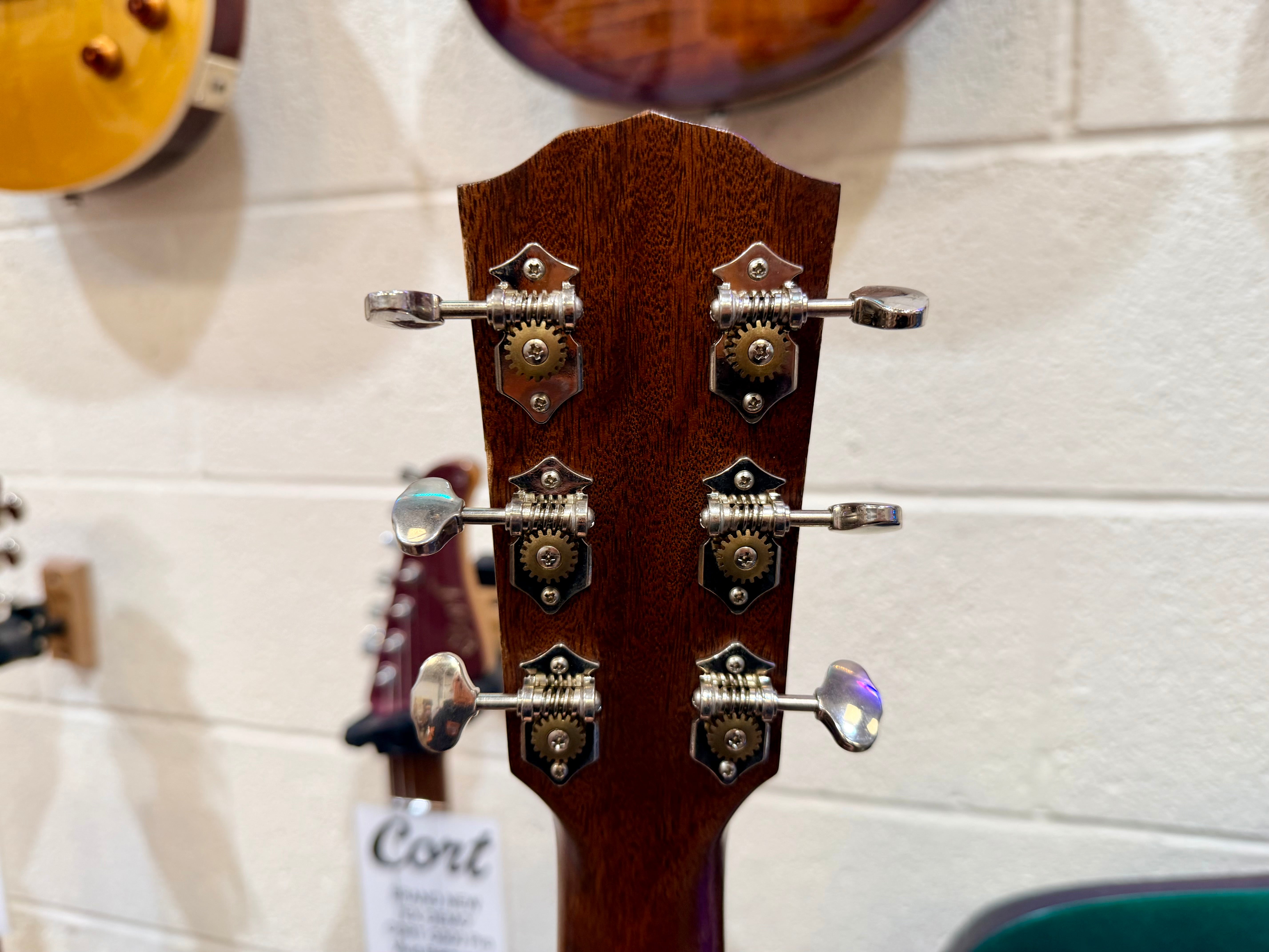 🔥MINT🔥 Fender PM-1 Standard Dreadnought NE~ All-Mahogany Edition~ Hard Case!