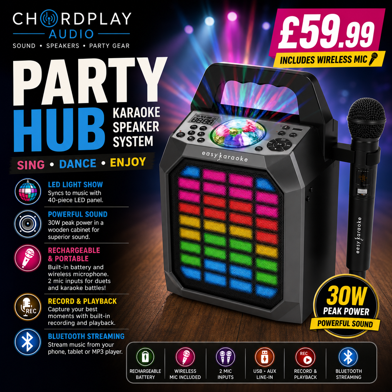 🎤 Easy Karaoke Party Hub Portable Speaker System~ Lights/Wireless Microphone 🎤