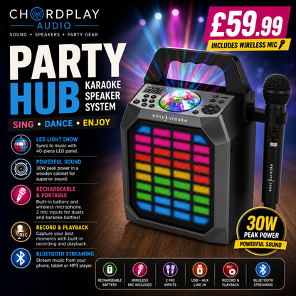 🎤 Easy Karaoke Party Hub Portable Speaker System~ Lights/Wireless Microphone 🎤