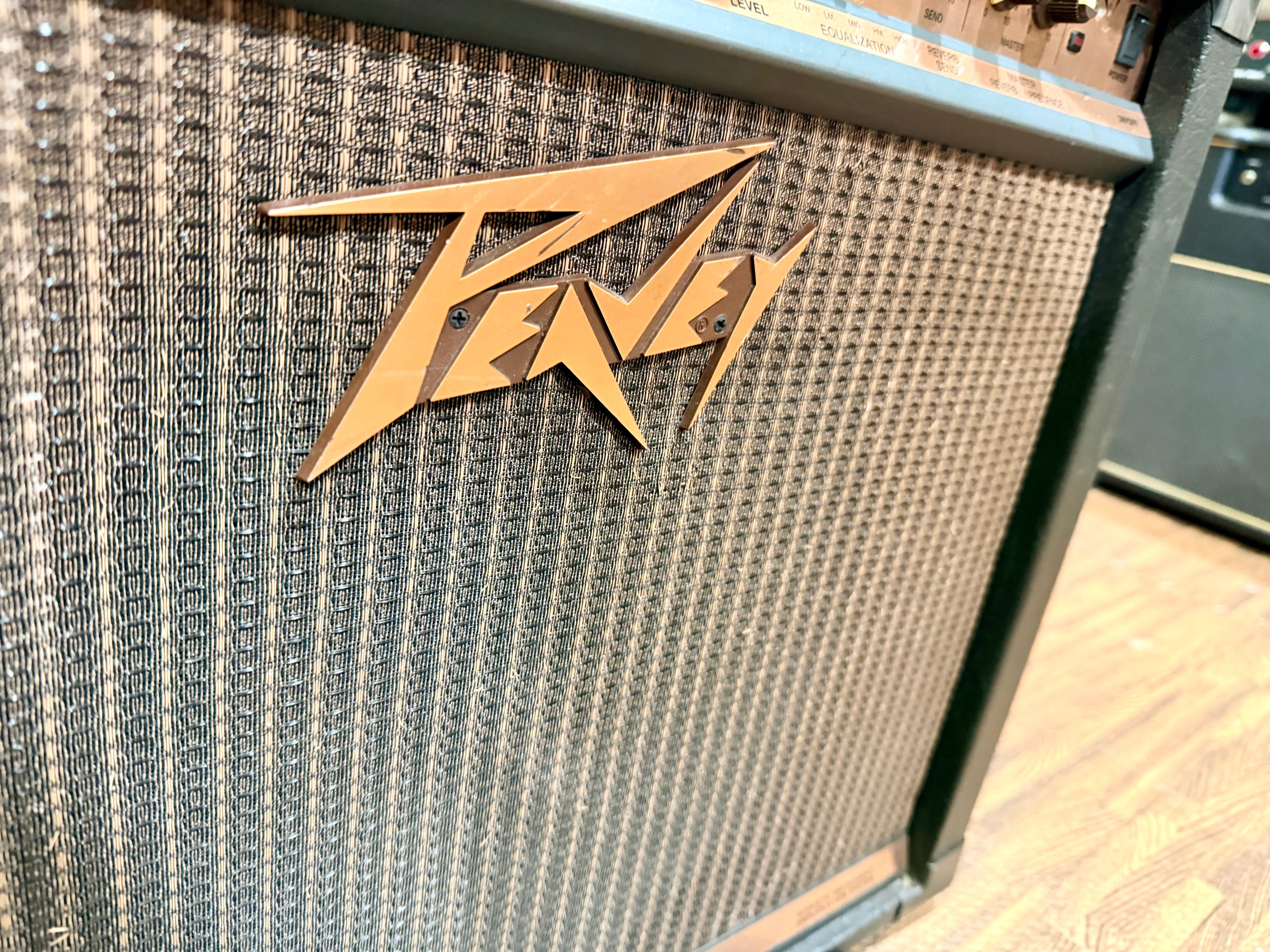 🎸 Peavey Ecoustic 112 Acoustic Guitar Amplifier~ 100w Combo Amp 🎸