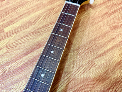 ✨2025✨ Epiphone Les Paul Special TV Yellow P90 PRO~ Inspired By Gibson LATEST!
