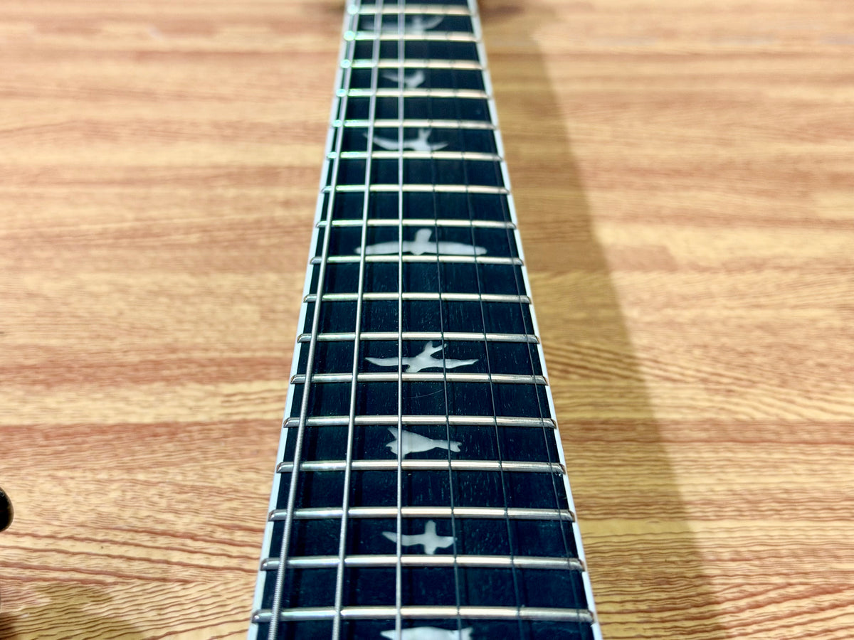🔥SIGNED🔥 PRS SE Mark Holcomb Signature Model Artist Signed Holcomb Blueburst!
