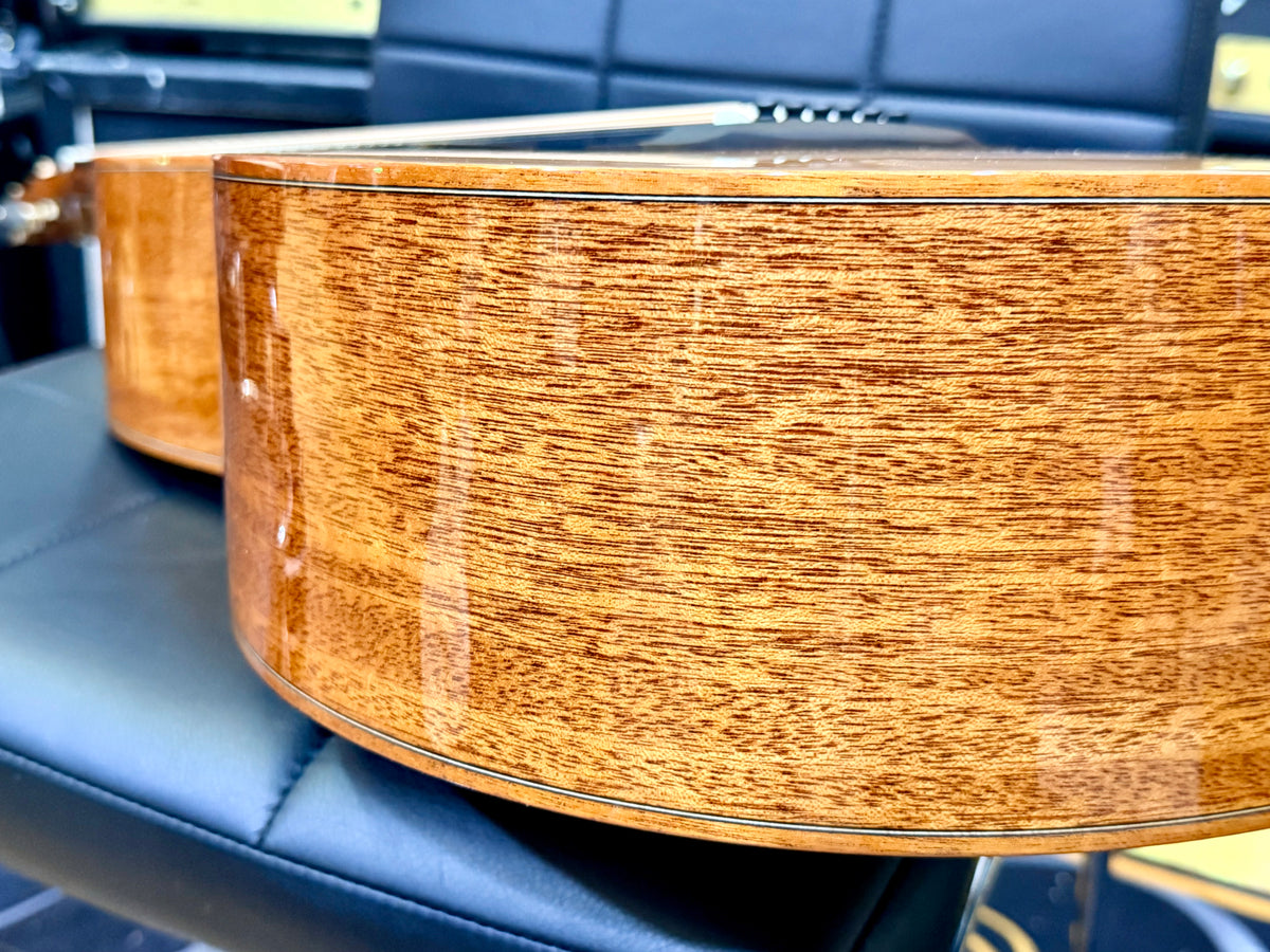 ✨NEW✨ Duke GA-MC-Cut-Solid-Air~ All Solid Electro Acoustic Guitar~ Ebony + Cedar