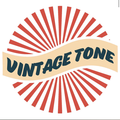 🔥NEW MODEL🔥 Vintage Retro 20w Bass Combo Amp with DSP~ Black Amplifier