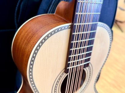 ✨NEW✨ Vintage Paul Brett Viator Electro Acoustic 12 String Travel Guitar + Bag