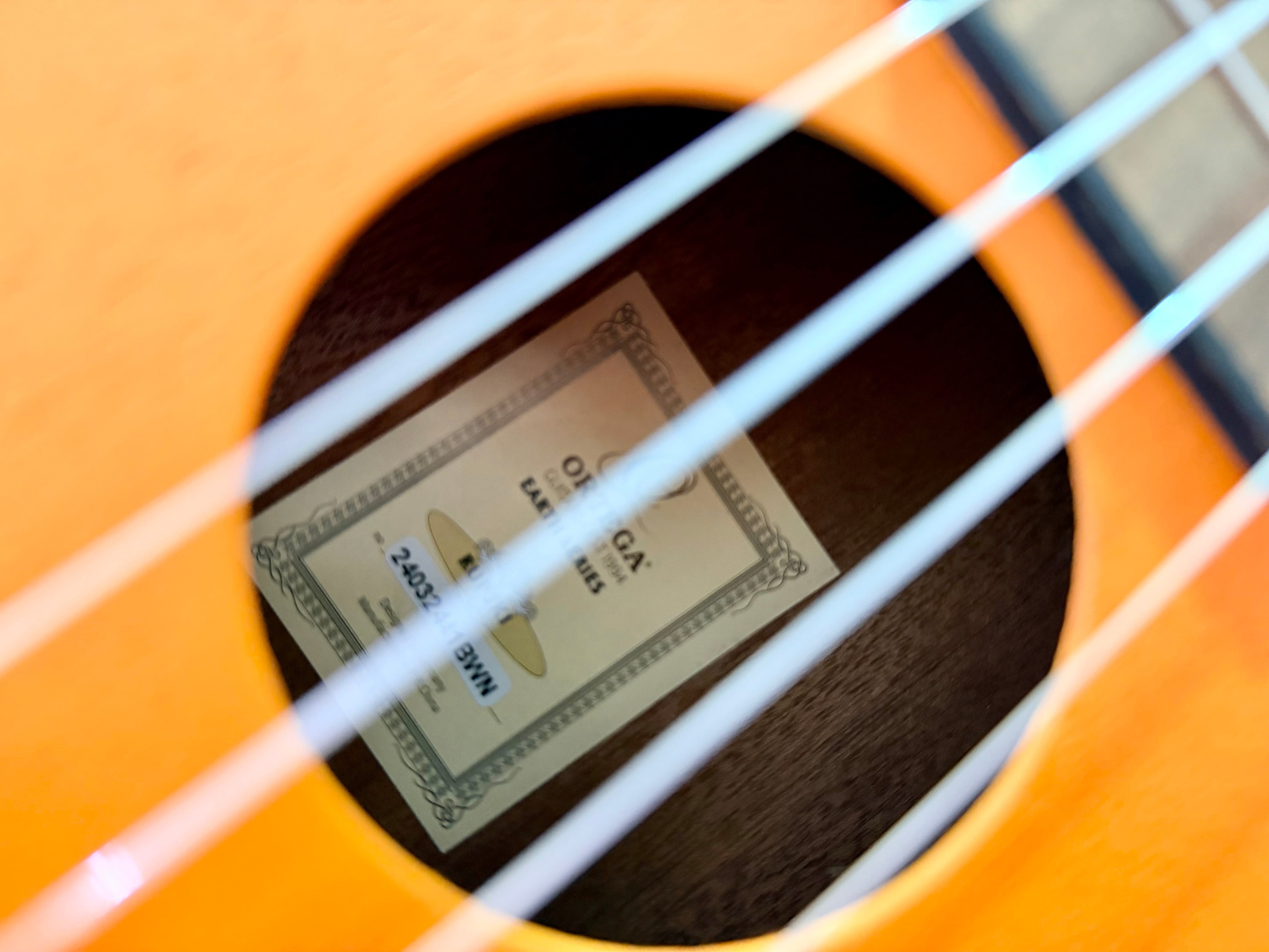 🔥NEW 2025🔥 Ortega Earth Series Concert Ukelele~ Pumpkin Orange Uke!