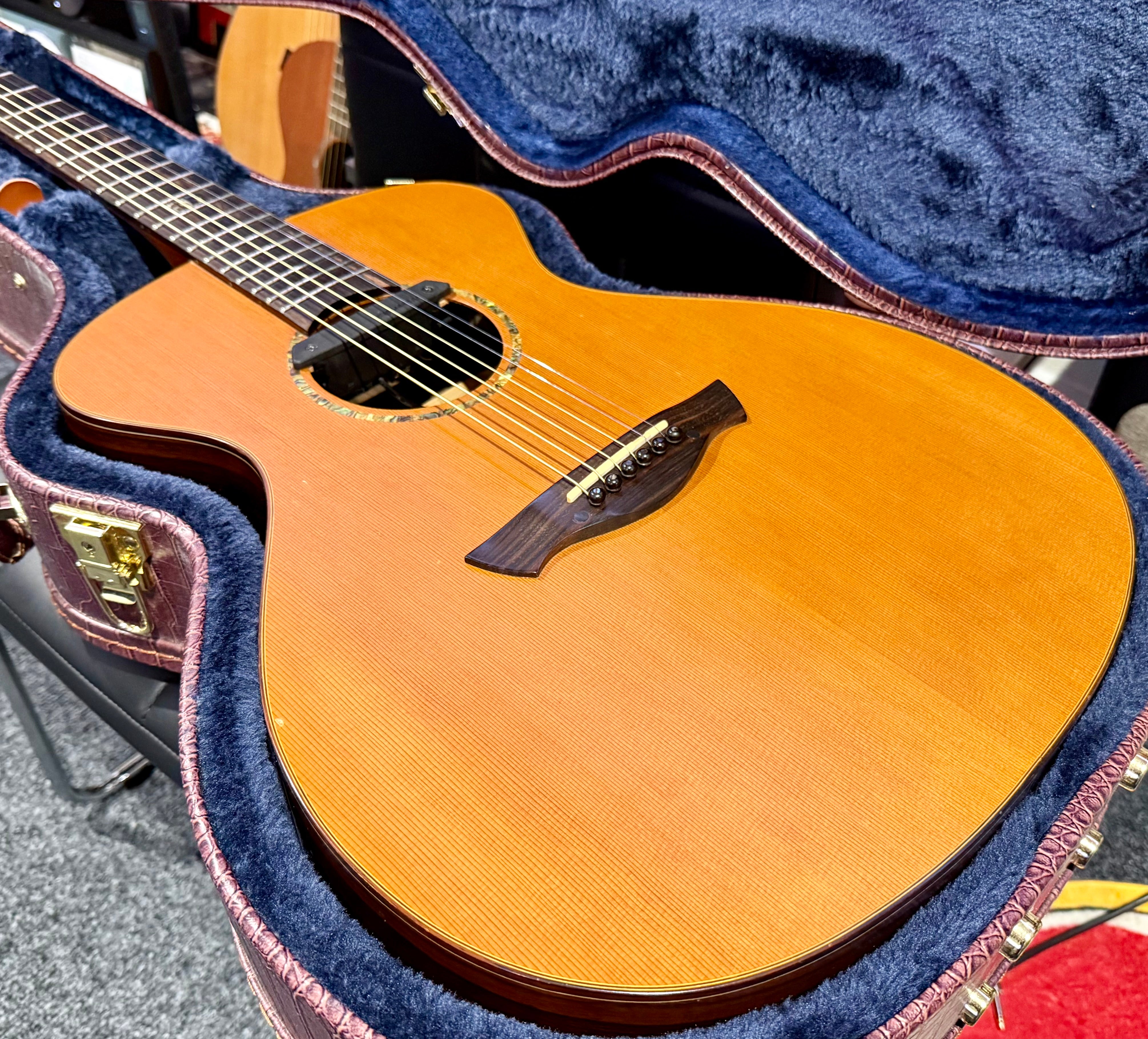 🌟 Vintage VE2000DLX Gordon Giltrap Deluxe Edition~Electro Acoustic~Hard Case 🌟