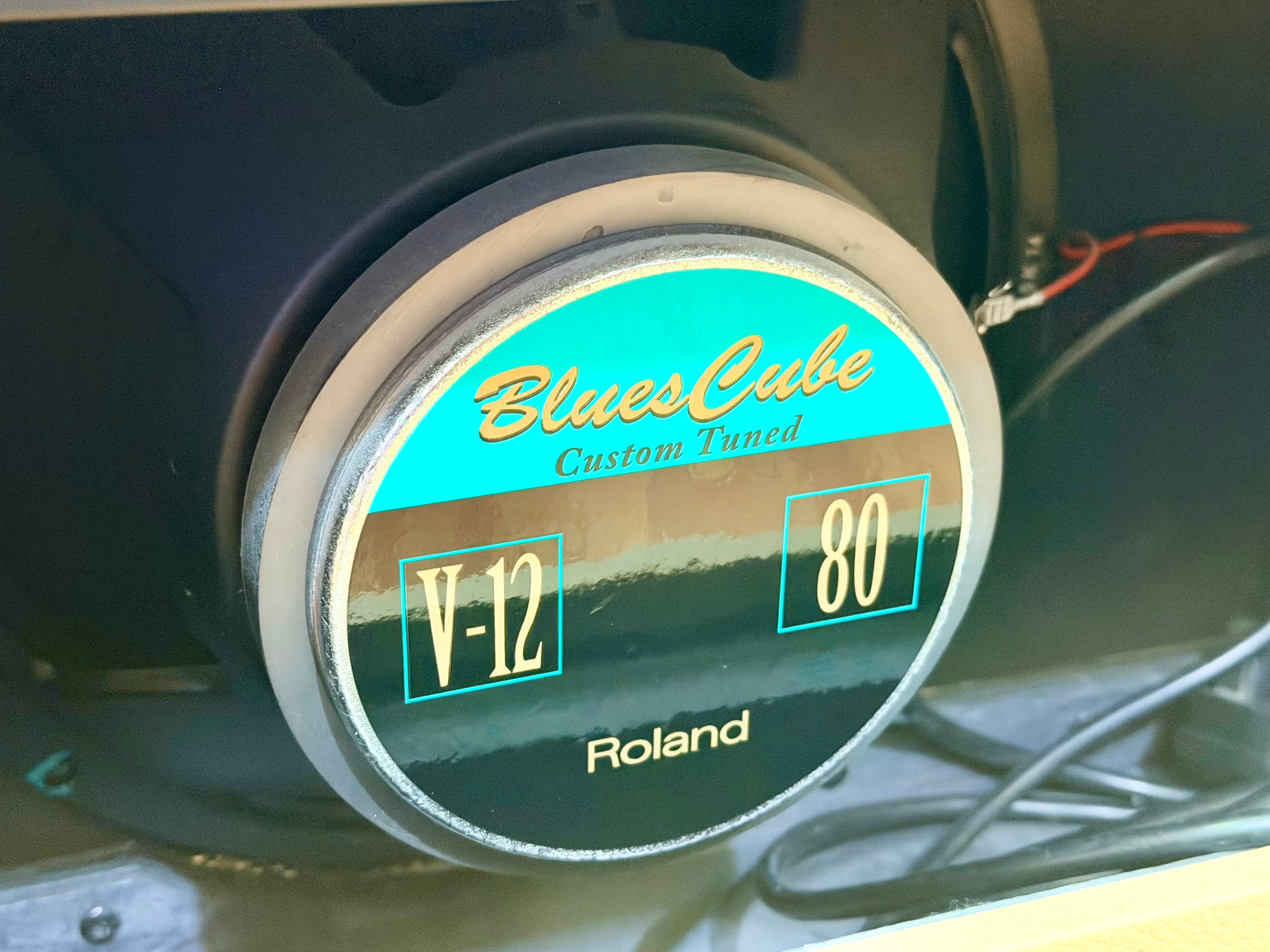 Roland Blues Cube Stage 60 Guitar Amplifier~ Tube Logic Valve 60w Combo Amp 🎸