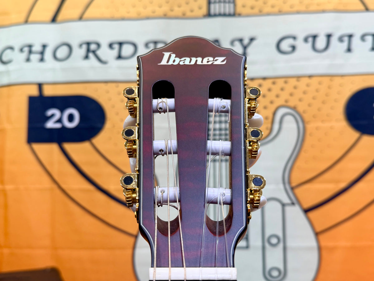 🔥2025🔥 Ibanez FRH20QMN Wine Red Low Gloss Nylon Electro Acoustic Guitar!
