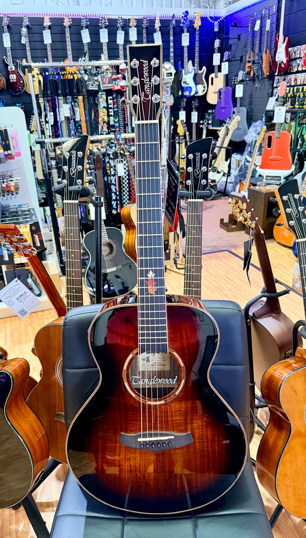 Tanglewood Winterleaf Exotic TWX1EK Electro Acoustic~ Koa~ Autumn Burst Gloss