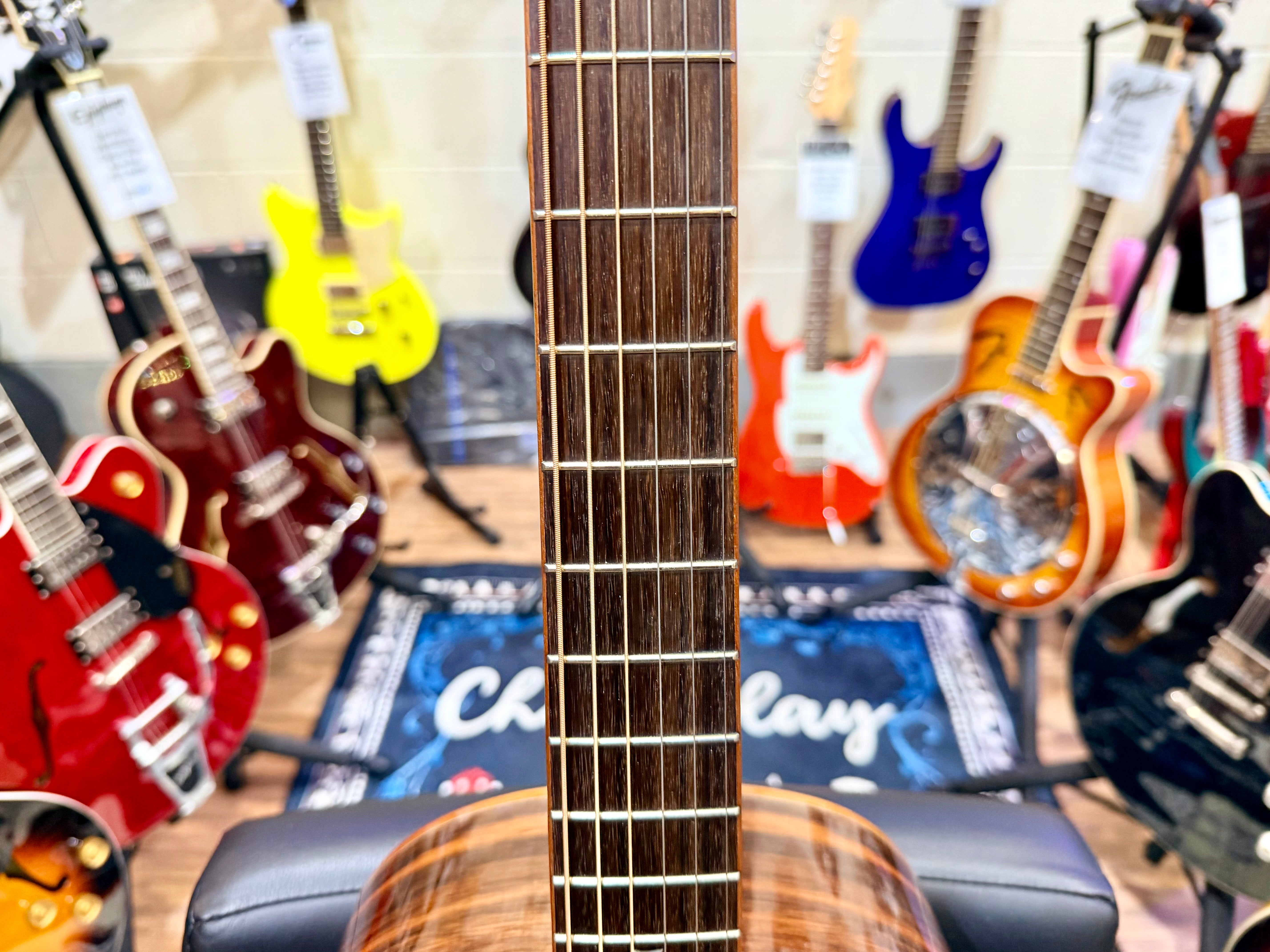 🌟 Tanglewood Exotic Java TWJPE Parlour Electro Acoustic + Hard Case~Stunning 🌟
