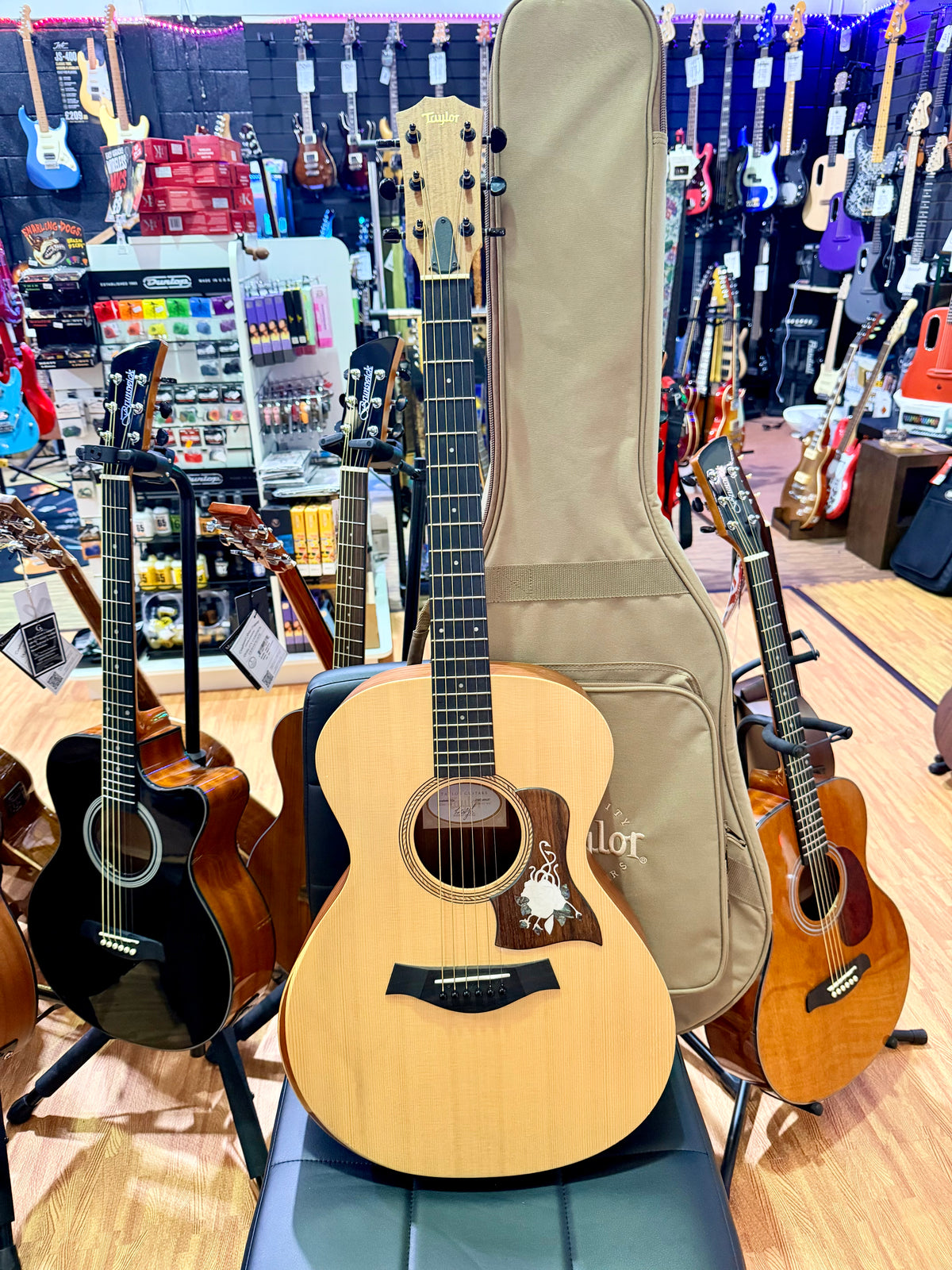 2019 Taylor Academy 12e Grand Concert Electro-Acoustic Guitar~ Natural + GigBag