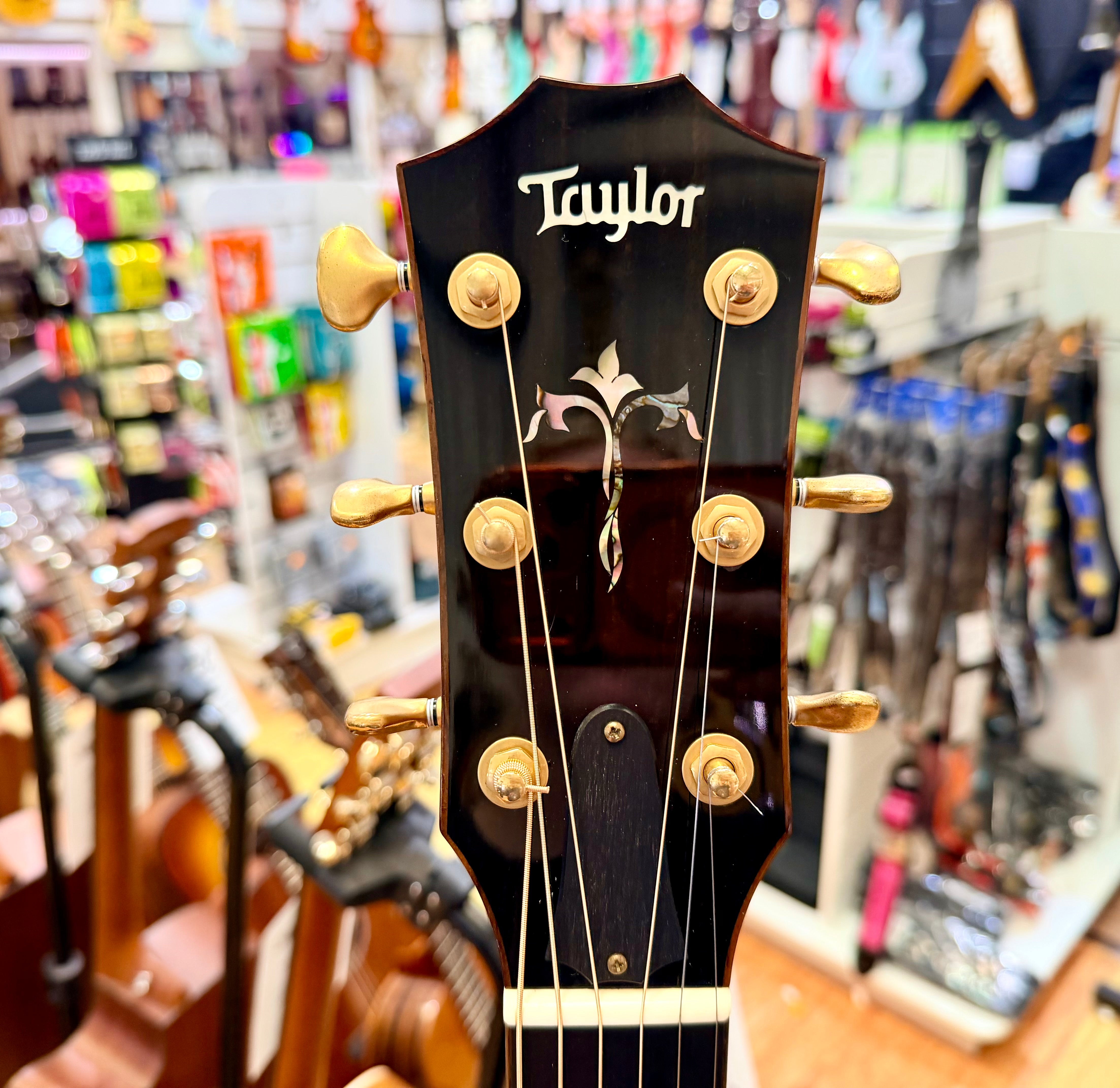 ✨BEAUTIFUL✨ 2011 Taylor 914ce Grand Auditorium~ Cindy Inlay~ Electro Acoustic!