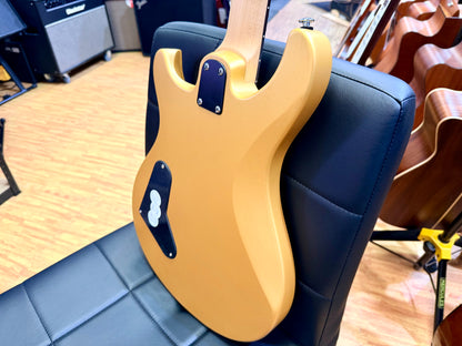 ⚡️ NEW 2026 ⚡️ PRS SE CE24 Standard Stoptail~ Metallic Gold Satin CE 24~ Gig Bag
