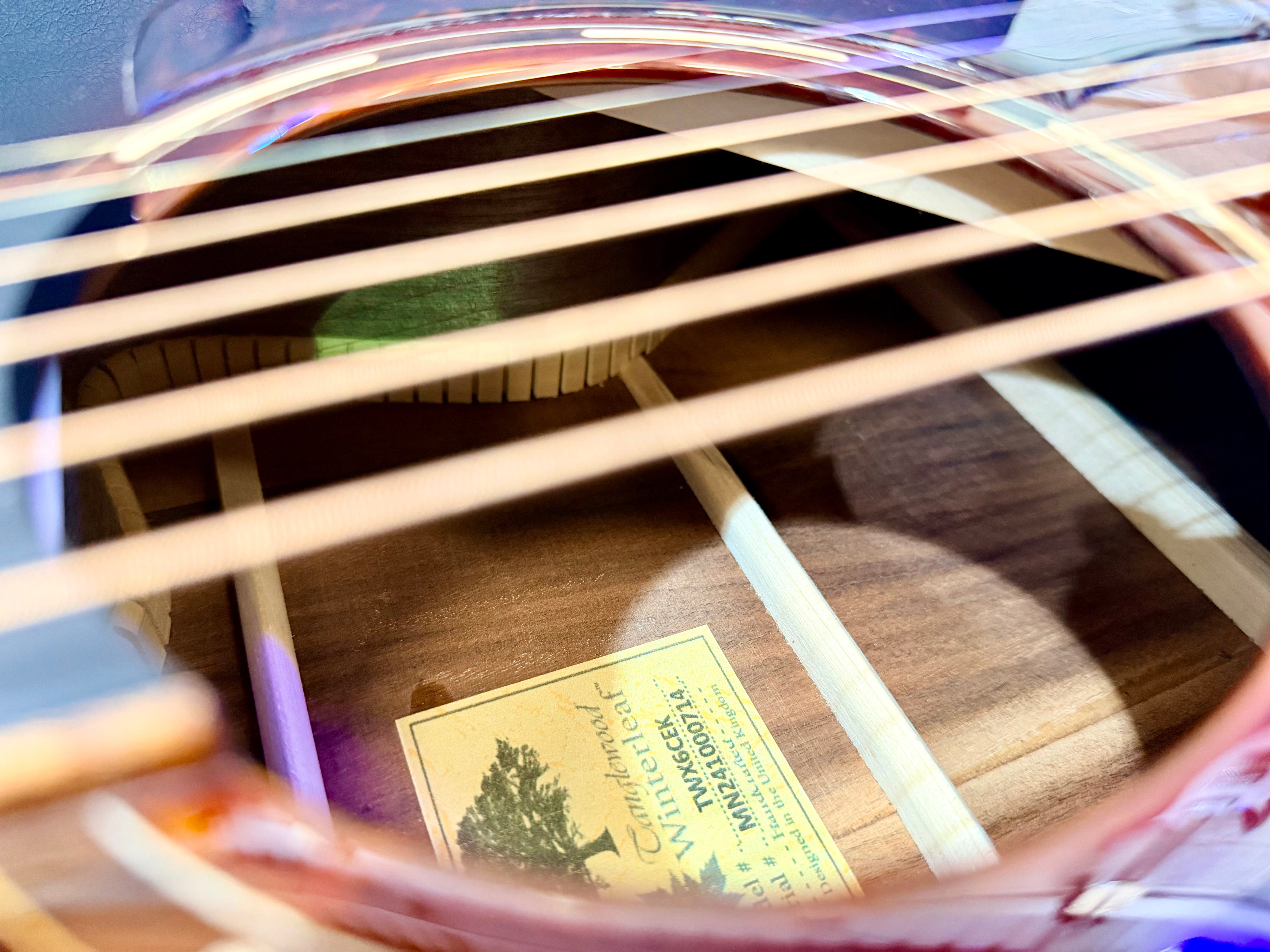 🪵2024🪵 Tanglewood TWX6CEK Winterleaf~ Grand Auditorium Electro ~ Koa Exotic!