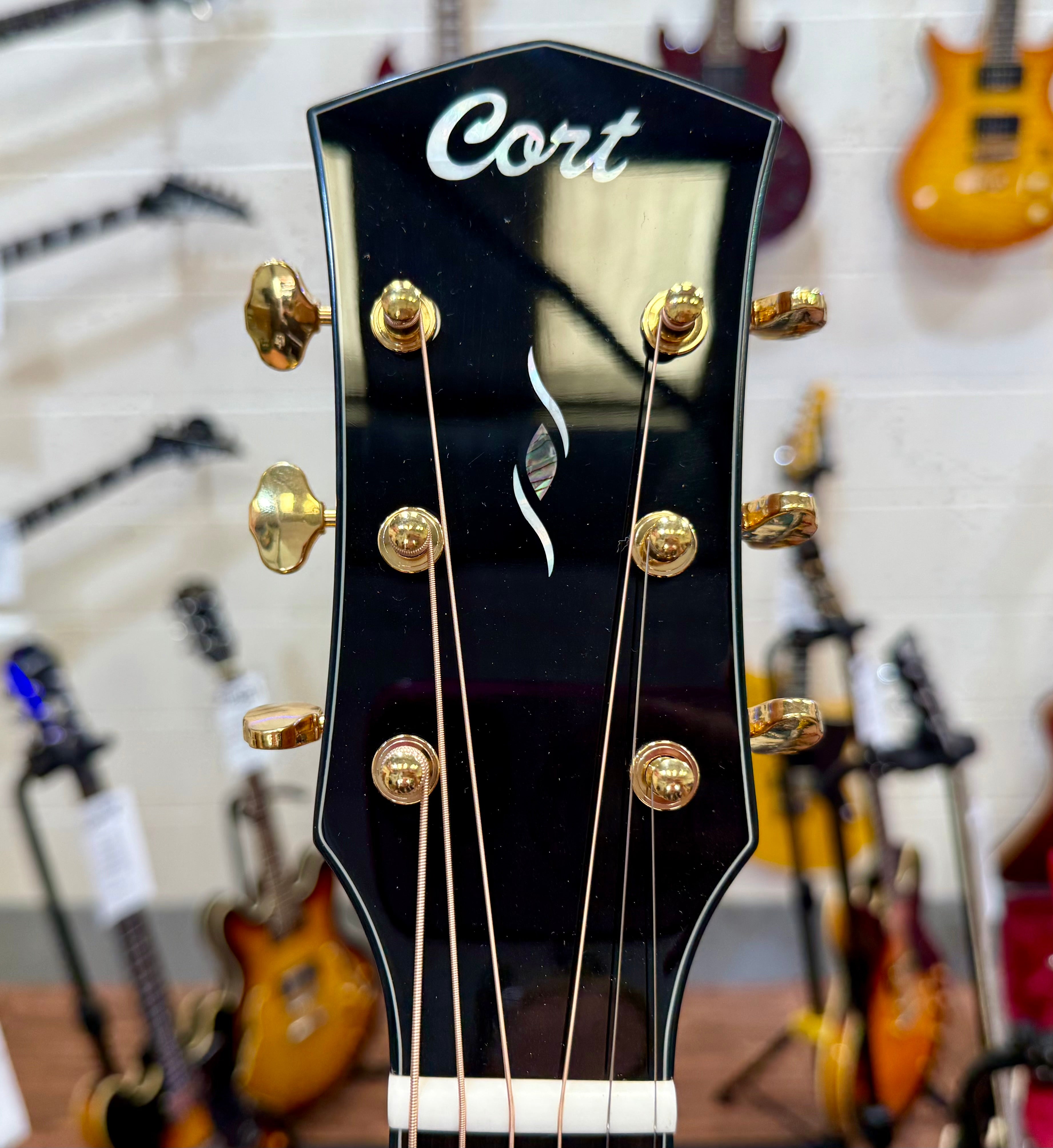 🌟NEW 2025 🌟 Cort Gold A6 Nat Electro Acoustic~ Natural~ Ebony Board~ Gig Bag!