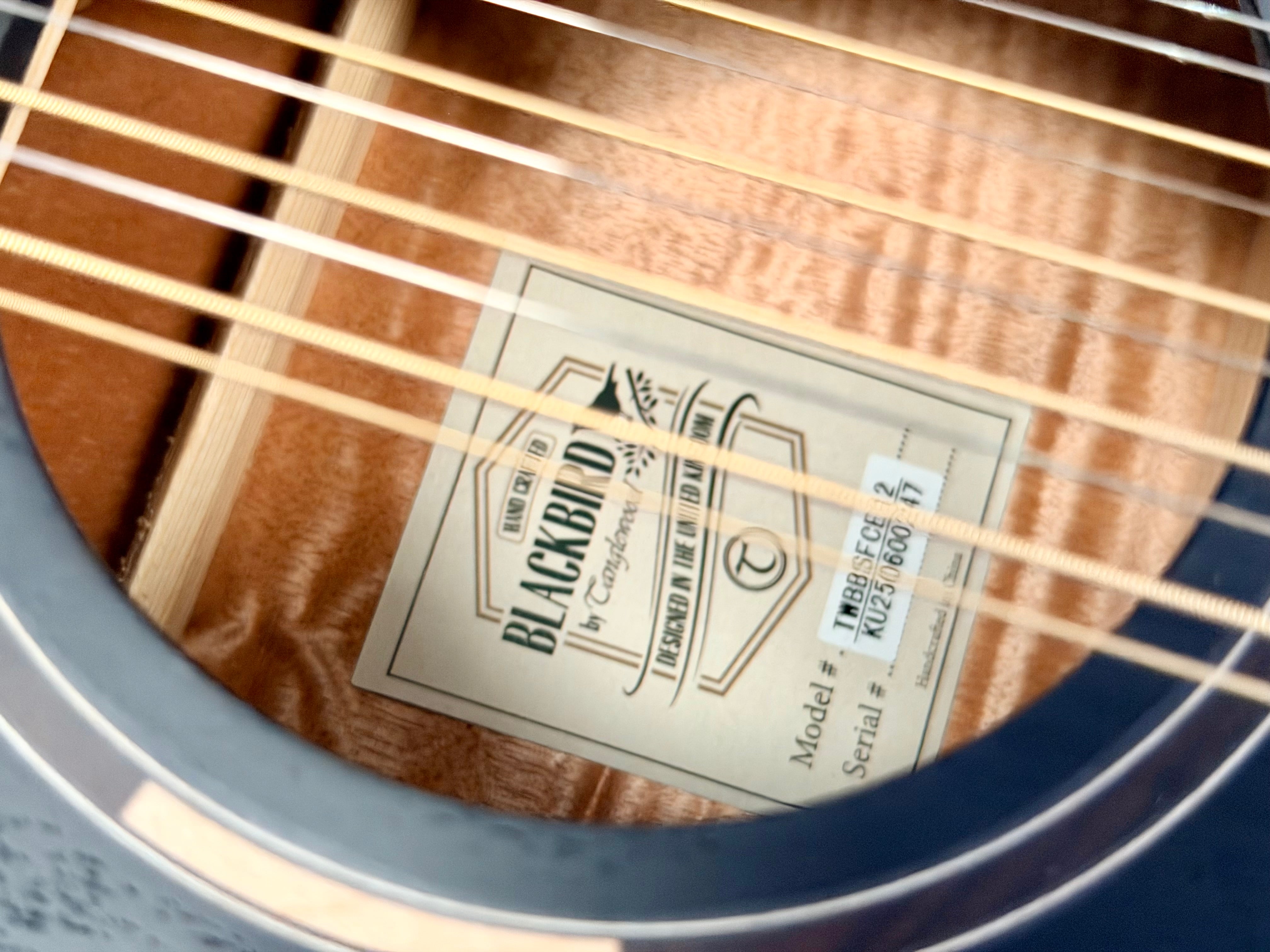 🌟MINT🌟 2025 Tanglewood TB412CE 12 Blackbird 12 String Electro Acoustic Guitar!