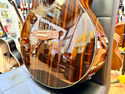 ✨NEW✨ Brunswick BTK60EB Ebony Grand Auditorium Cutaway Electro Acoustic Guitar!