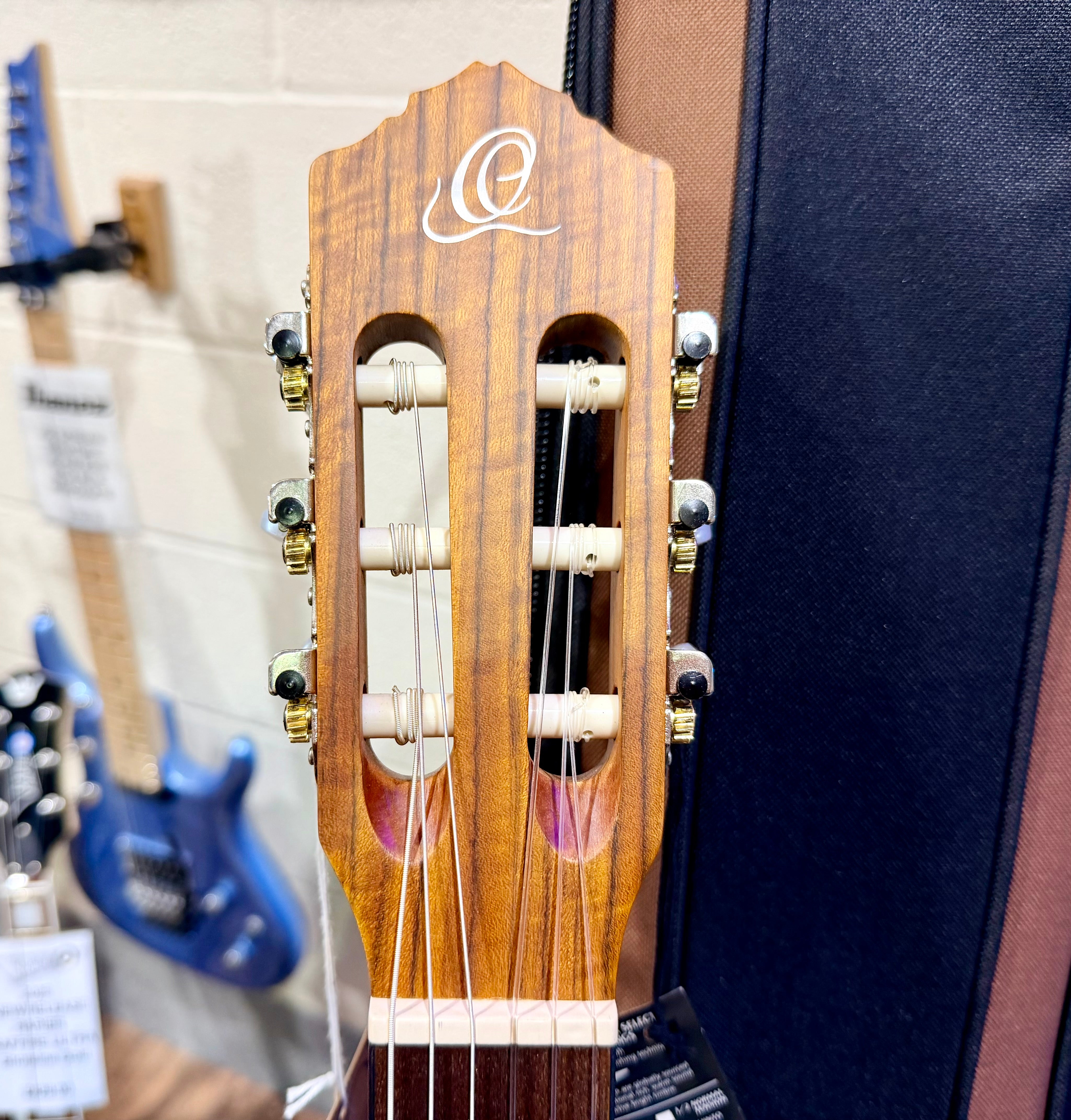 🔥FREE GIG BAG🔥 Ortega R122SN Classical Acoustic Guitar~ Family Series~ NEW!