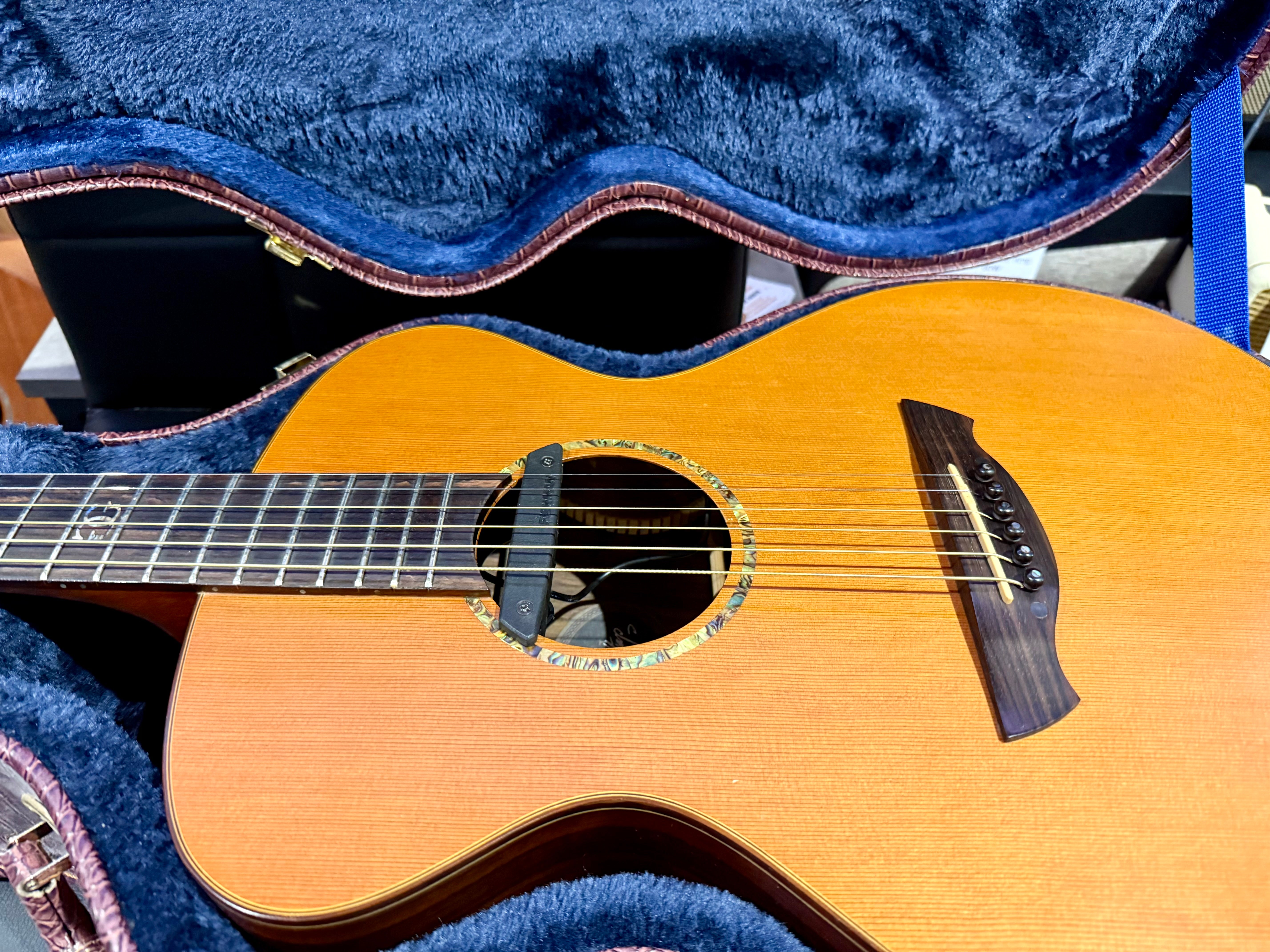 🌟 Vintage VE2000DLX Gordon Giltrap Deluxe Edition~Electro Acoustic~Hard Case 🌟