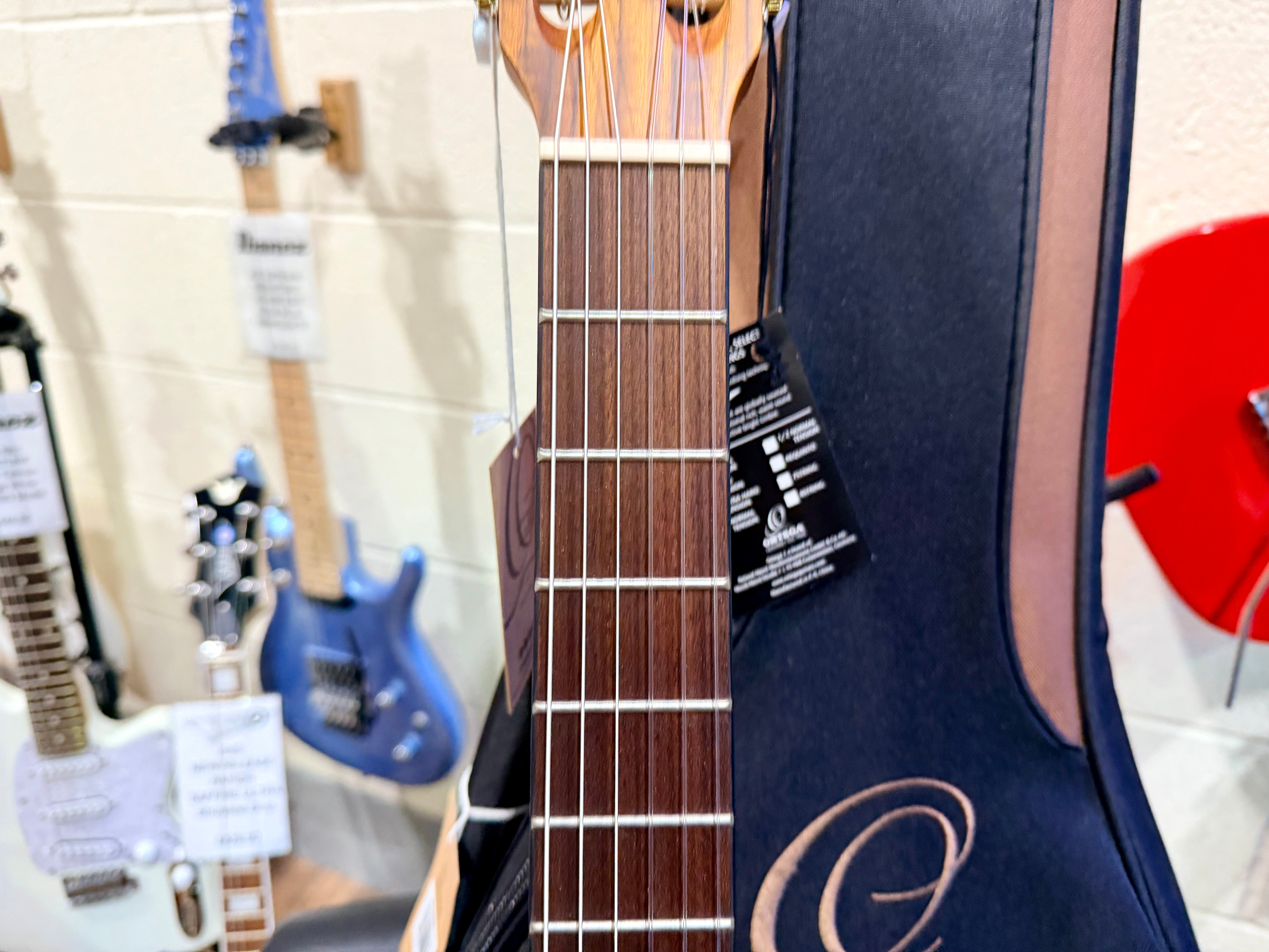 🔥FREE GIG BAG🔥 Ortega R122SN Classical Acoustic Guitar~ Family Series~ NEW!