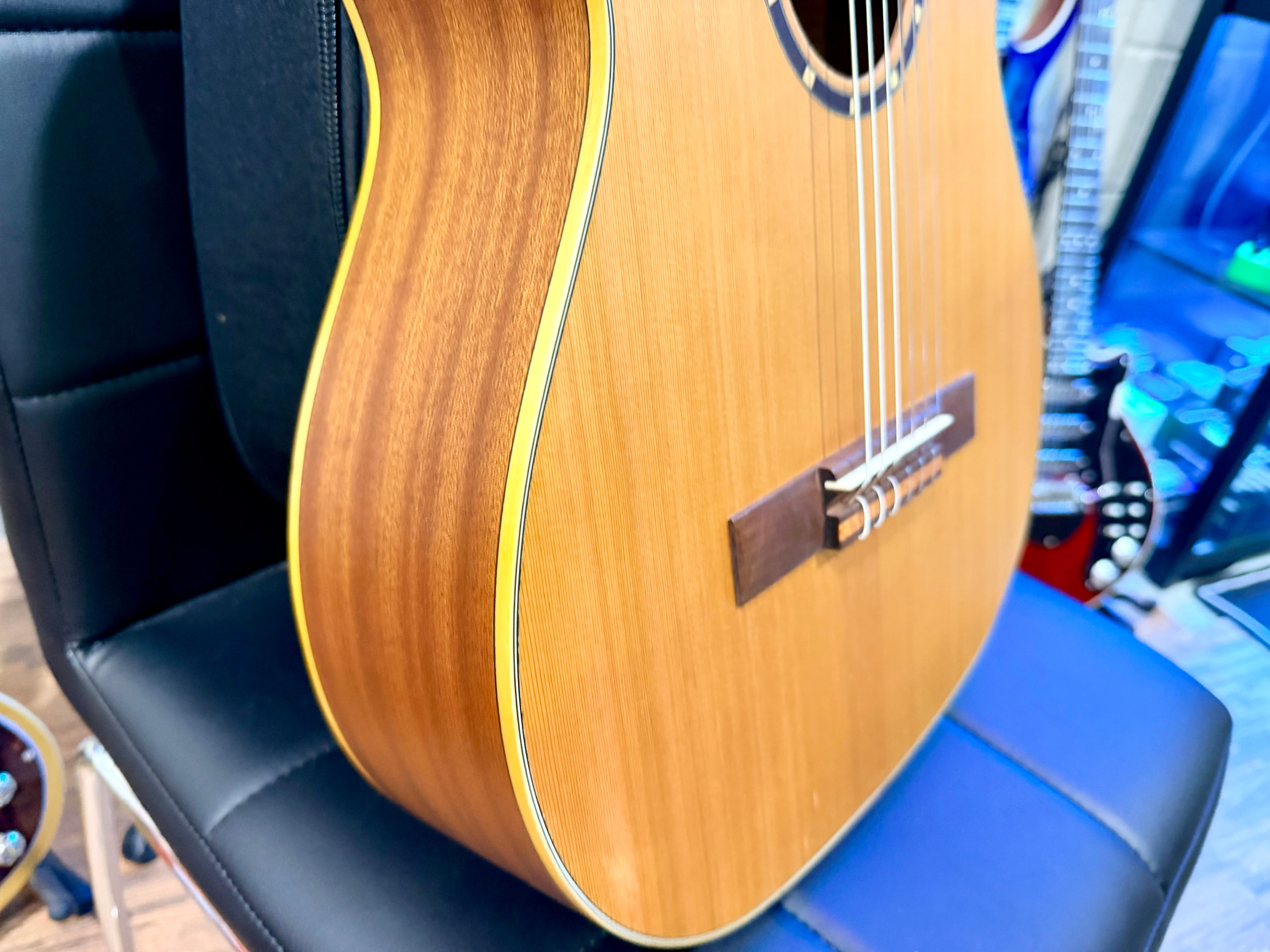 🔥FREE GIG BAG🔥 Ortega R122SN Classical Acoustic Guitar~ Family Series~ NEW!