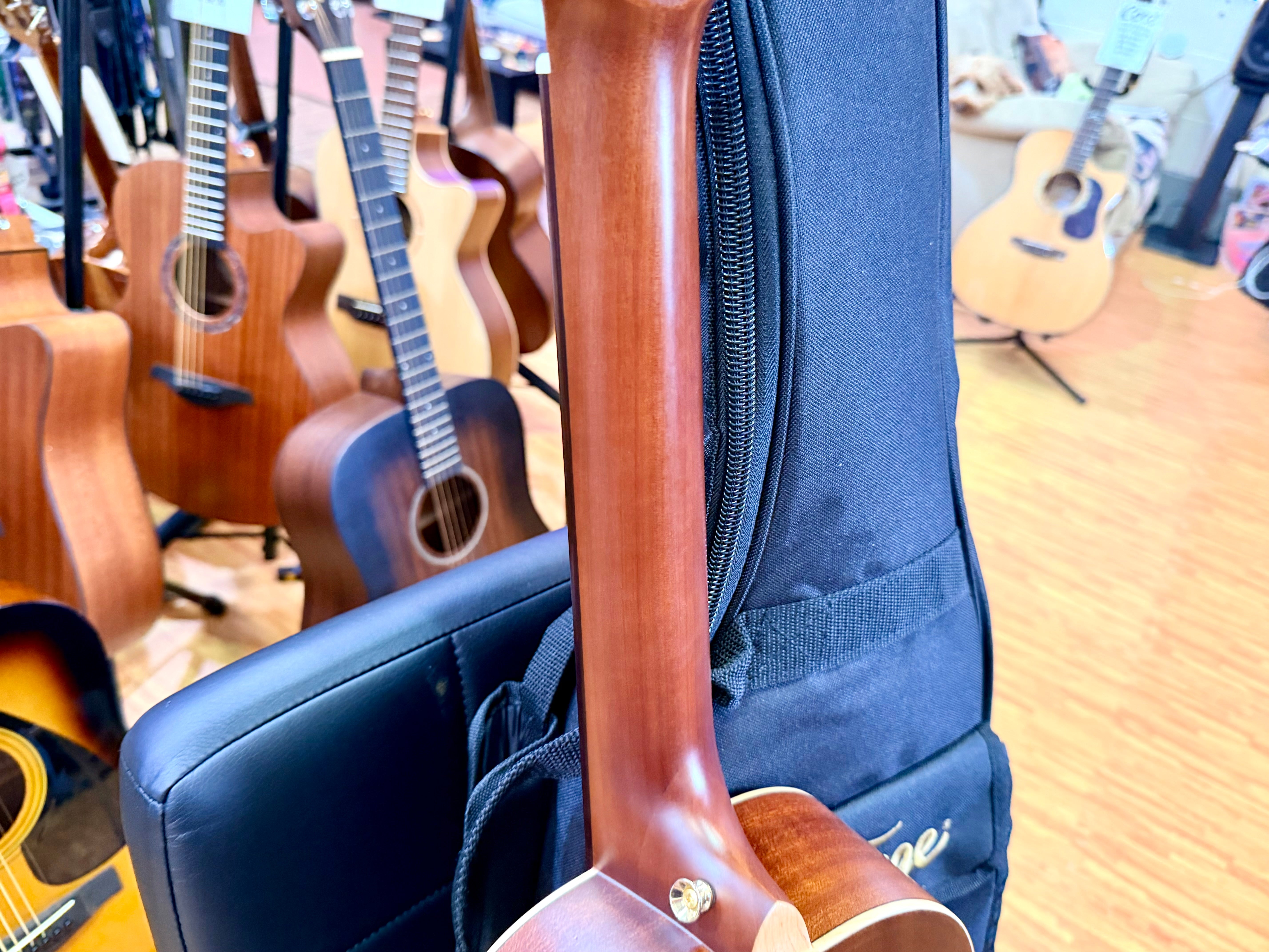 ✨NEW✨ Vintage Paul Brett Viator Electro Acoustic 12 String Travel Guitar + Bag