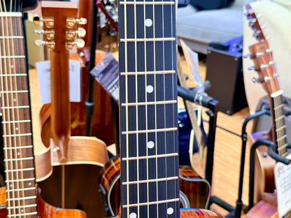 ✨NEW✨ Brunswick BF200M Mahogany Folk Acoustic Guitar~ Natural Gloss!