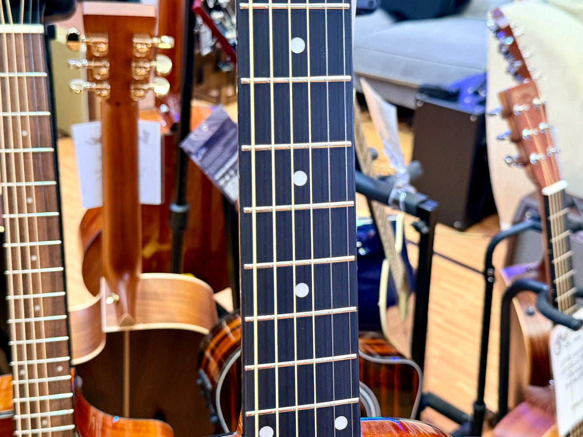 ✨NEW✨ Brunswick BF200M Mahogany Folk Acoustic Guitar~ Natural Gloss!