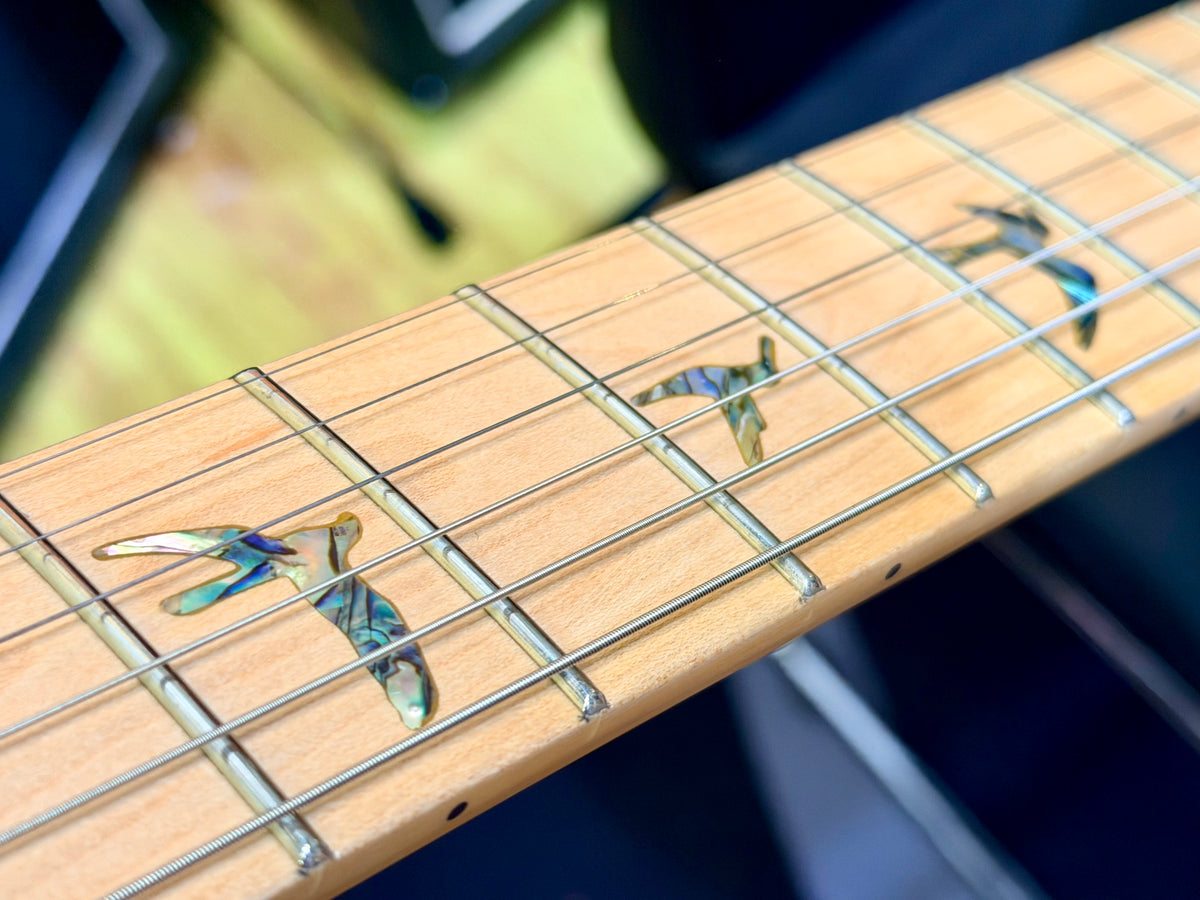 🦅2025🦅 PRS SE Swamp Ash Specialty~ Charcoal Special Electric Guitar~ Maple!