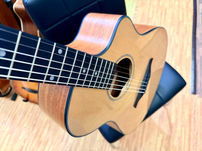 ✨NEW✨ Vintage Pacific Coast VEC300NS Electro-Acoustic Guitar~ Natural Spruce!