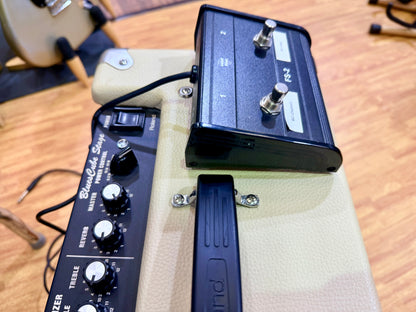 Roland Blues Cube Stage 60 Guitar Amplifier~ Tube Logic Valve 60w Combo Amp 🎸
