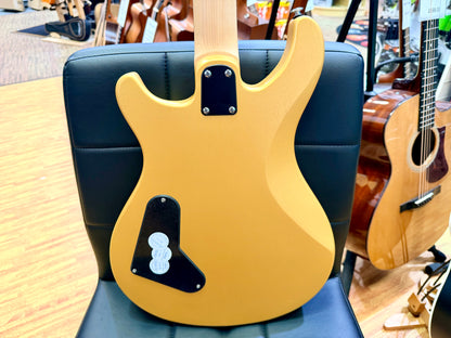⚡️ NEW 2026 ⚡️ PRS SE CE24 Standard Stoptail~ Metallic Gold Satin CE 24~ Gig Bag