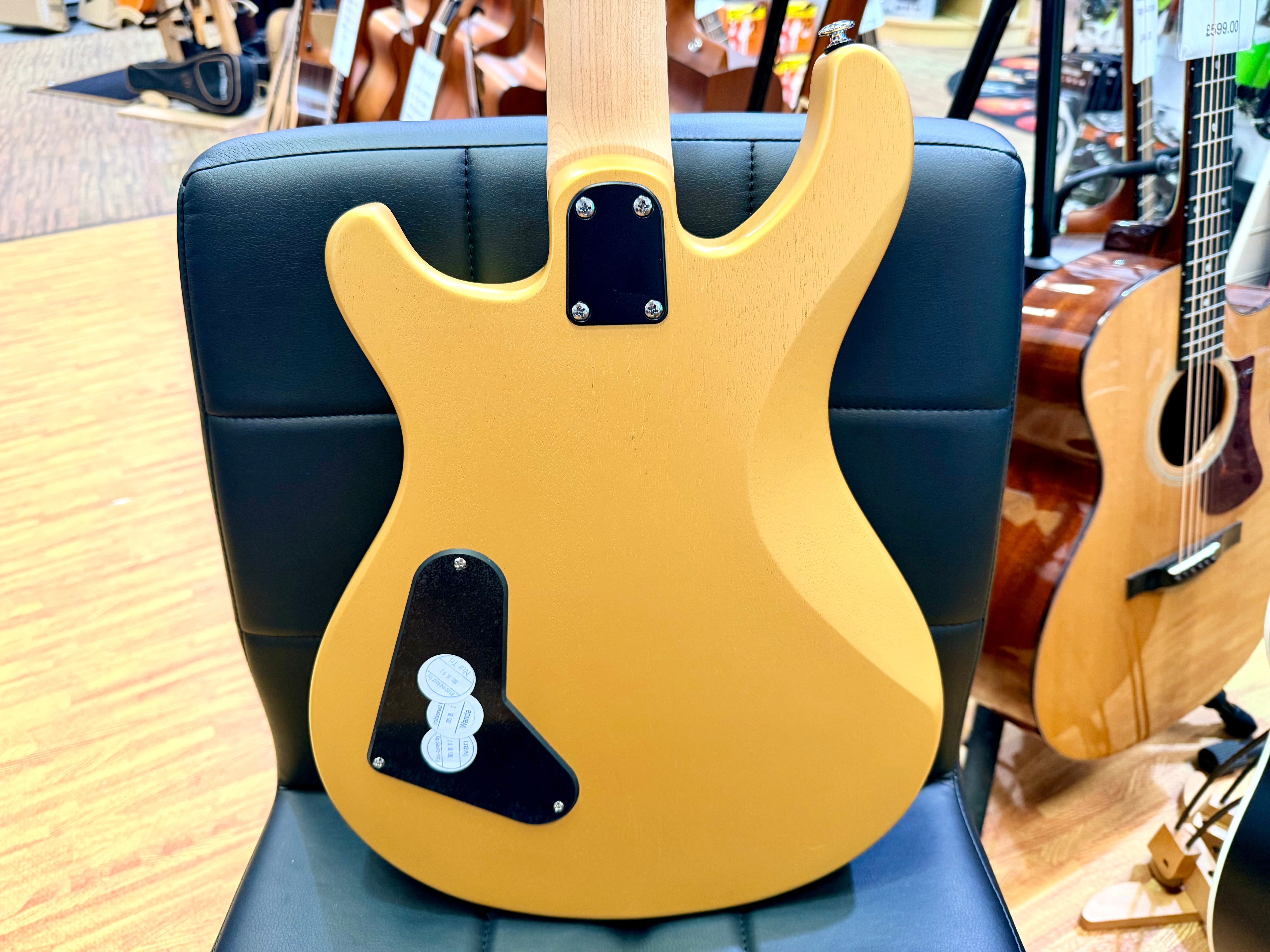 ⚡️ NEW 2026 ⚡️ PRS SE CE24 Standard Stoptail~ Metallic Gold Satin CE 24~ Gig Bag