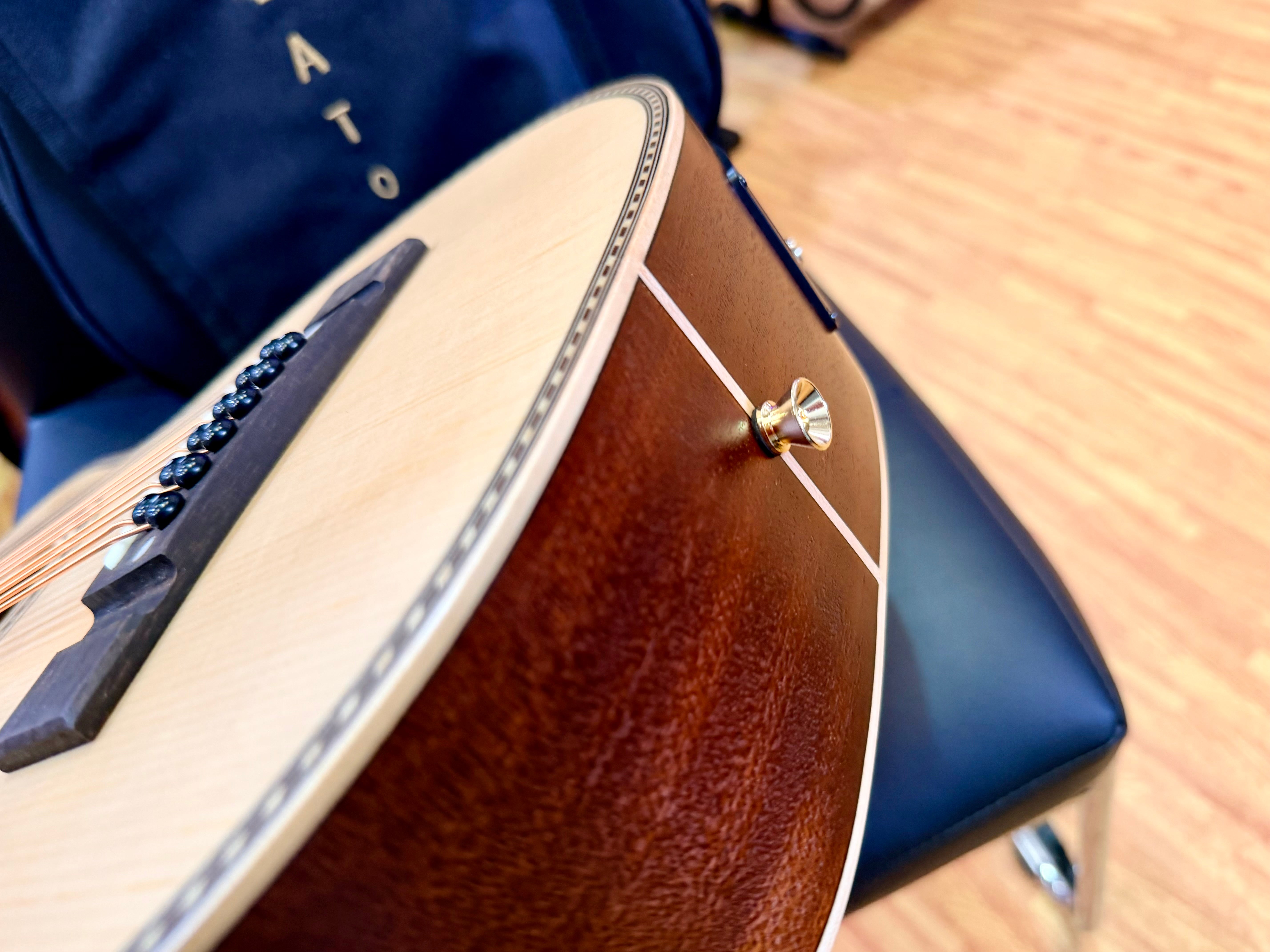 ✨NEW✨ Vintage Paul Brett Viator Electro Acoustic 12 String Travel Guitar + Bag