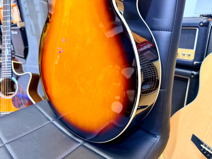 ☀️NEW☀️ Eko Tribute Jazz Semi-Acoustic Hollow Body Guitar Sunburst~ ‘ES-175’