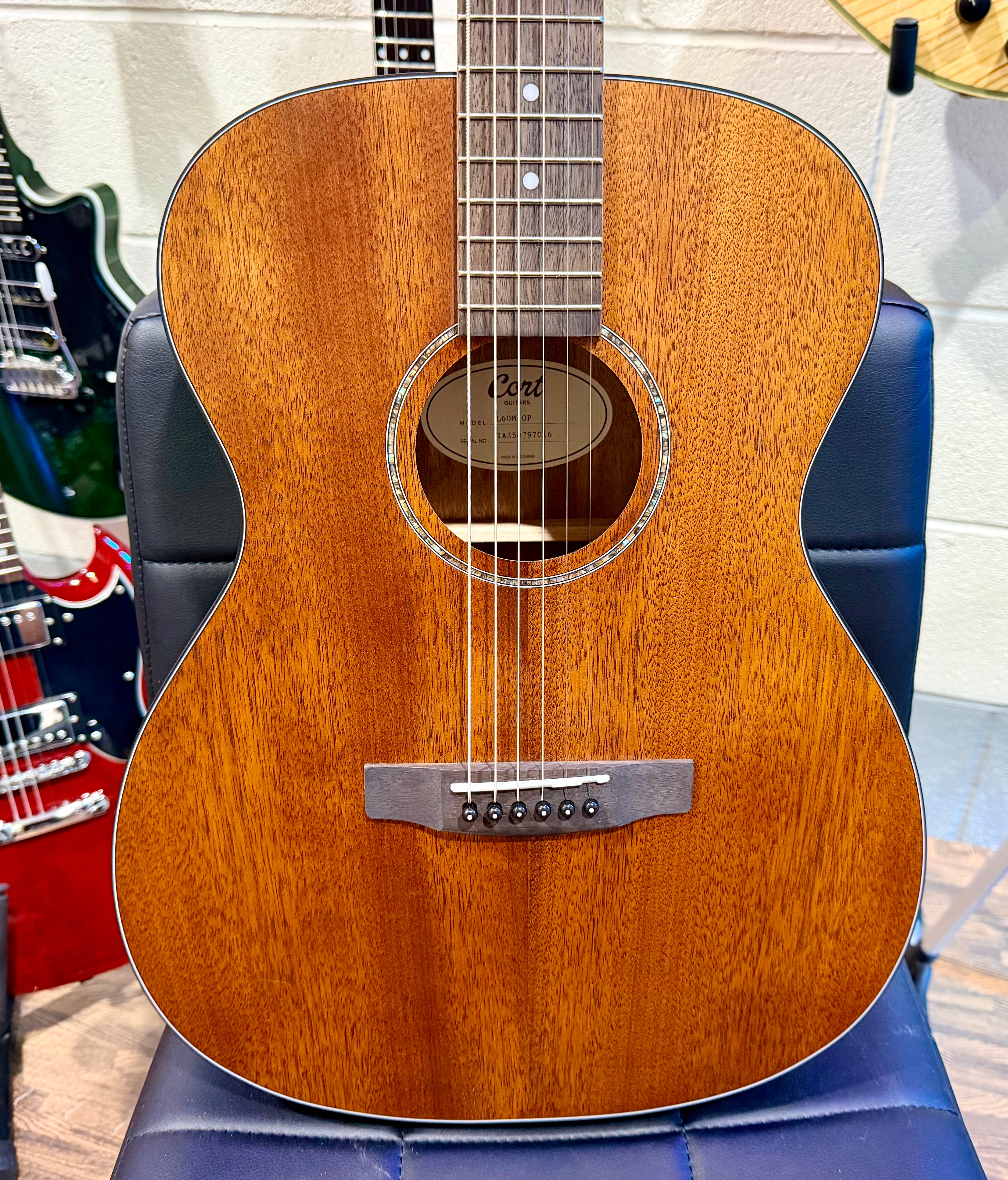 🌟BRAND NEW 2025🌟 Cort L60M OP Mahogany Acoustic Guitar~ Open Pore Finish!