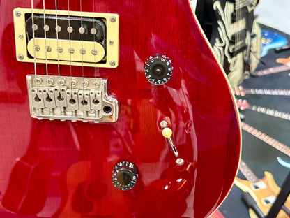 🔥2021🔥 PRS SE Standard 24~ Vintage Cherry Gloss ~ Coil Tap ~ Bird Inlays!