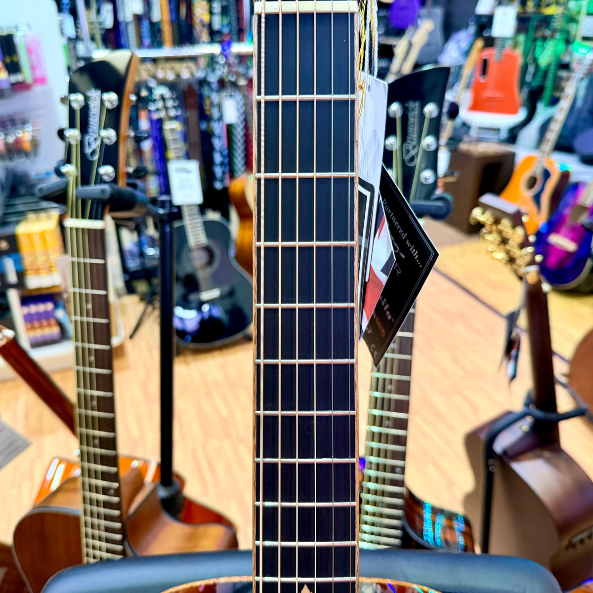 Tanglewood Winterleaf Exotic TWX1EK Electro Acoustic~ Koa~ Autumn Burst Gloss