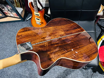 🌟BRAND NEW MODEL🌟 Vintage REVO ELEKTRA ~ Natural Silk Electro-Acoustic Guitar!