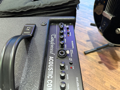 🎸 Tanglewood T6 Acoustic Guitar Amp~ 60w Combo Amplifier + Gig Bag 🎸